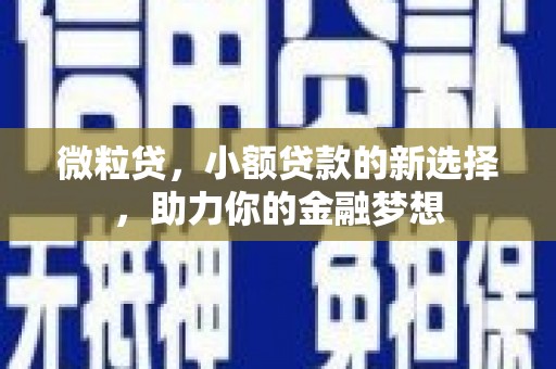 苏尼特左旗微粒贷，小额贷款的新选择，助力你的金融梦想