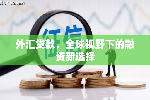 洱源外汇贷款，全球视野下的融资新选择