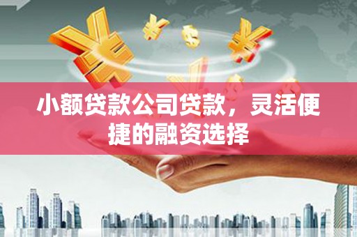 宁阳小额贷款公司贷款，灵活便捷的融资选择