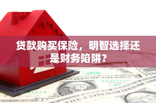 广南贷款购买保险，明智选择还是财务陷阱？