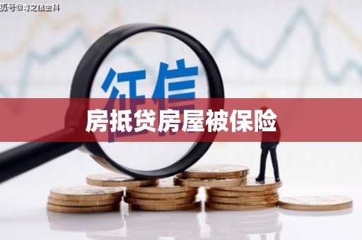 石排房抵贷房屋被保险