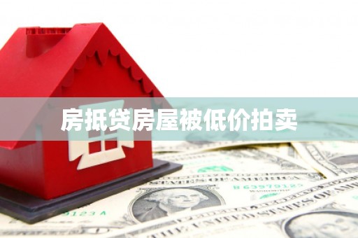 广南房抵贷房屋被低价拍卖