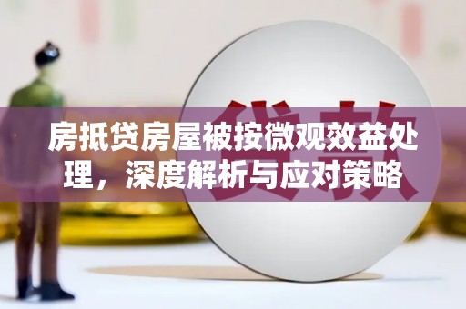 南海房抵贷房屋被按微观效益处理，深度解析与应对策略