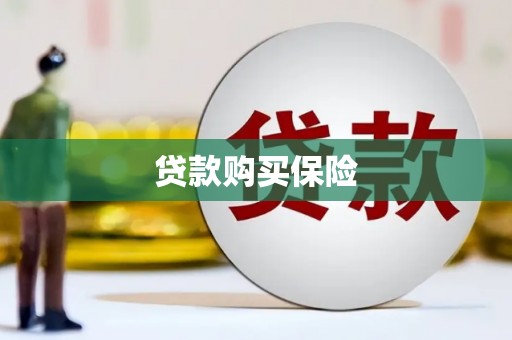 南海贷款购买保险