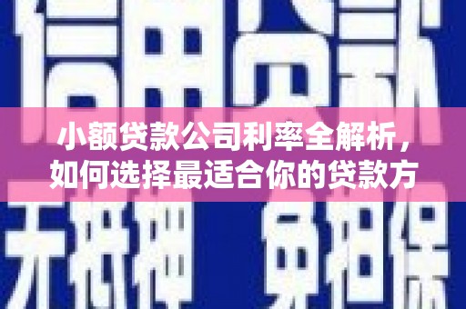 揭东小额贷款公司利率全解析，如何选择最适合你的贷款方案？