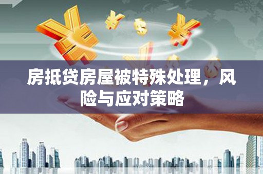 金山屯房抵贷房屋被特殊处理，风险与应对策略