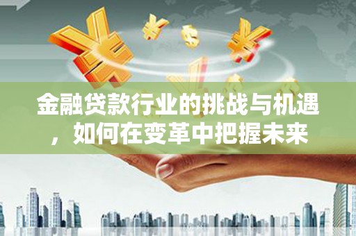 澜沧金融贷款行业的挑战与机遇，如何在变革中把握未来