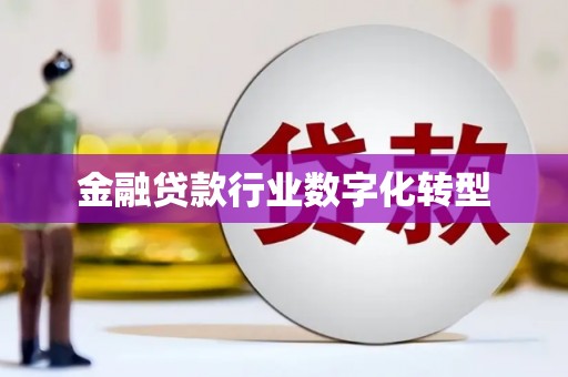 龙安金融贷款行业数字化转型