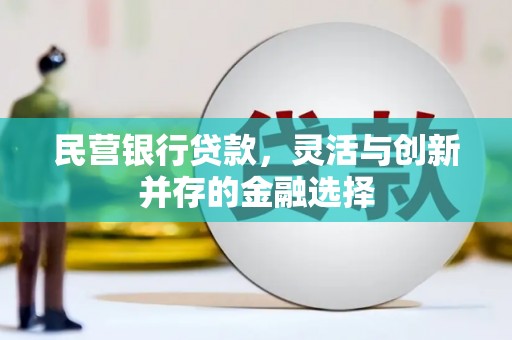 龙安民营银行贷款，灵活与创新并存的金融选择
