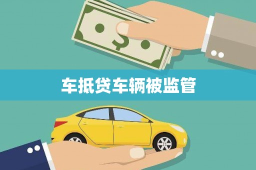 绥滨车抵贷车辆被监管