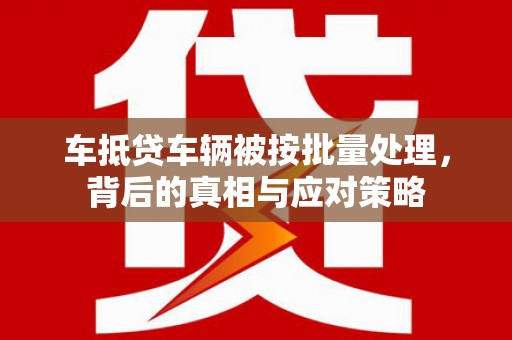 武江车抵贷车辆被按批量处理，背后的真相与应对策略