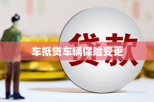 瑞安车抵贷车辆保险变更