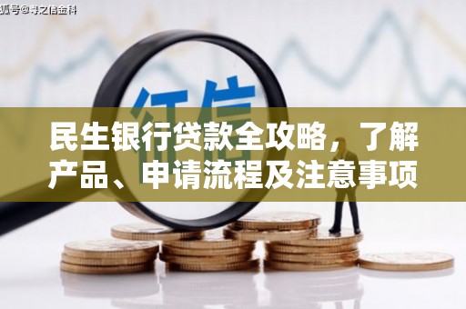 澜沧民生银行贷款全攻略，了解产品、申请流程及注意事项