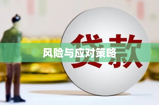 铜梁风险与应对策略