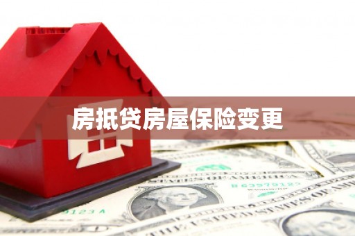 新宁房抵贷房屋保险变更