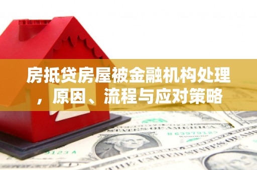 美溪房抵贷房屋被金融机构处理，原因、流程与应对策略