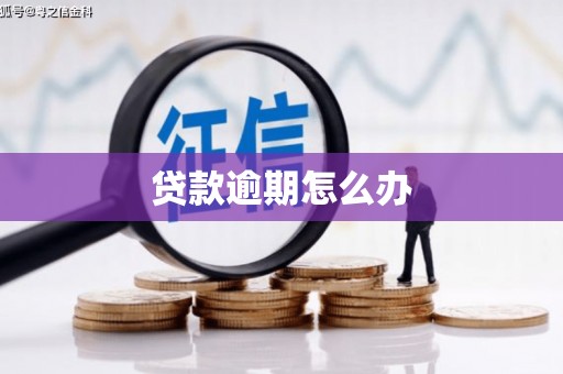 马鞍山贷款逾期怎么办