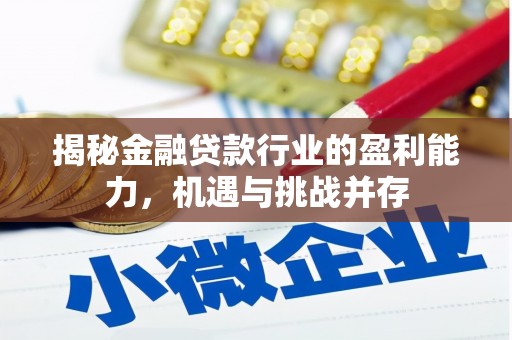 温州揭秘金融贷款行业的盈利能力，机遇与挑战并存