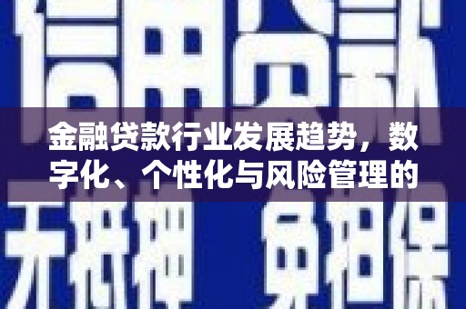 宁县金融贷款行业发展趋势，数字化、个性化与风险管理的未来