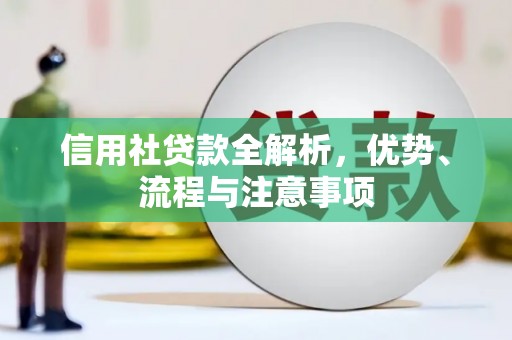 龙游信用社贷款全解析，优势、流程与注意事项
