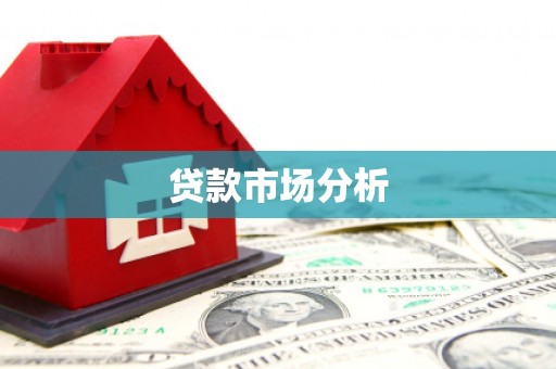 龙游贷款市场分析