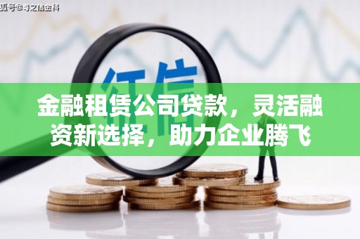 龙游金融租赁公司贷款，灵活融资新选择，助力企业腾飞