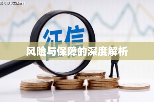 阿拉尔风险与保障的深度解析