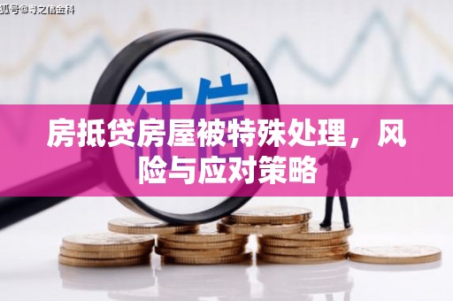 格尔木房抵贷房屋被特殊处理，风险与应对策略