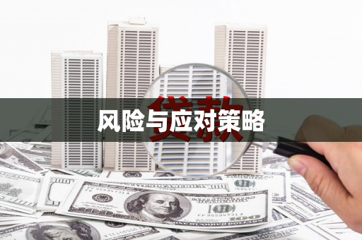 巴塘风险与应对策略