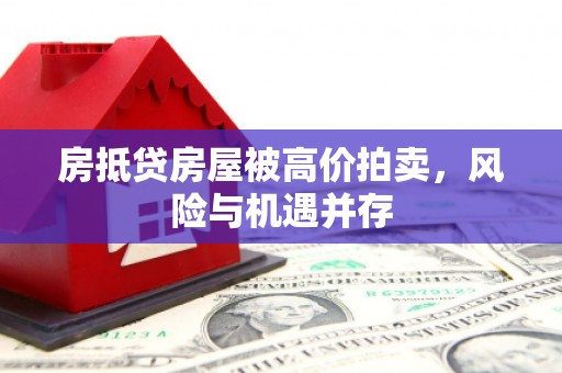 金普新区房抵贷房屋被高价拍卖，风险与机遇并存