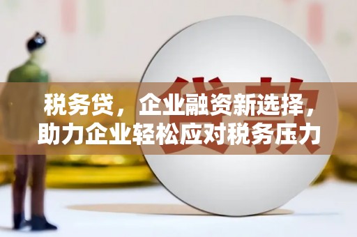金普新区税务贷，企业融资新选择，助力企业轻松应对税务压力