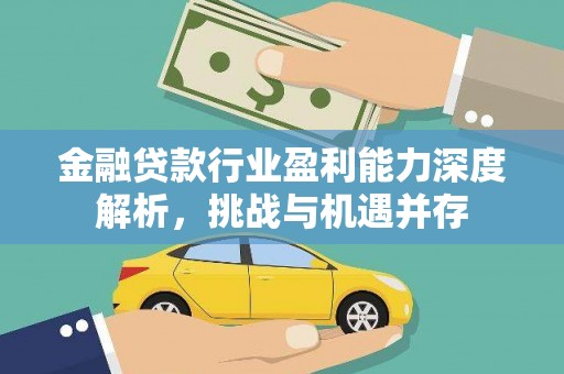 茄萣金融贷款行业盈利能力深度解析，挑战与机遇并存