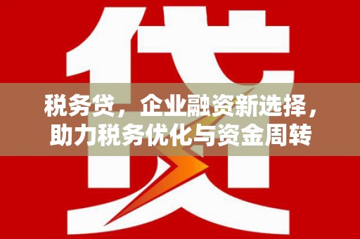 广宁税务贷，企业融资新选择，助力税务优化与资金周转