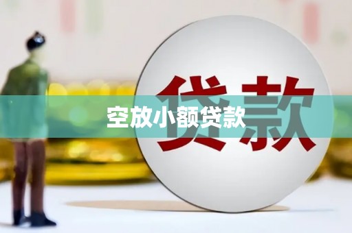 亭湖空放小额贷款
