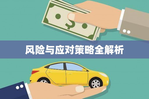 灌阳风险与应对策略全解析