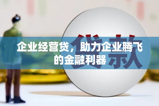 贞丰企业经营贷，助力企业腾飞的金融利器
