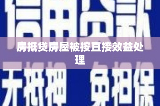贞丰房抵贷房屋被按直接效益处理