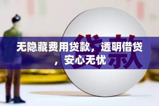 寿县无隐藏费用贷款，透明借贷，安心无忧