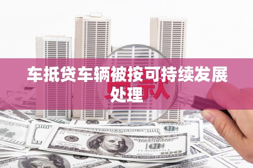 都江堰车抵贷车辆被按可持续发展处理