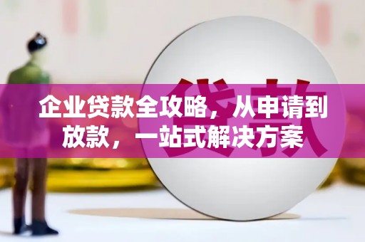 罗湖企业贷款全攻略，从申请到放款，一站式解决方案