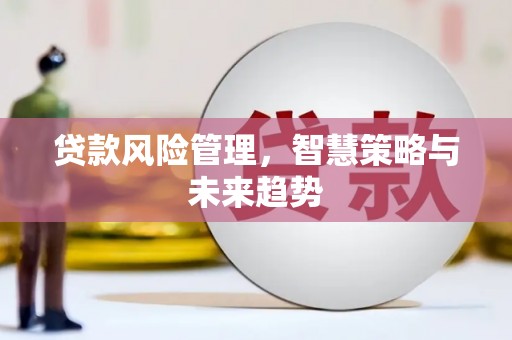 资兴贷款风险管理，智慧策略与未来趋势