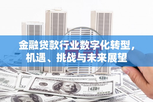 沁阳金融贷款行业数字化转型，机遇、挑战与未来展望