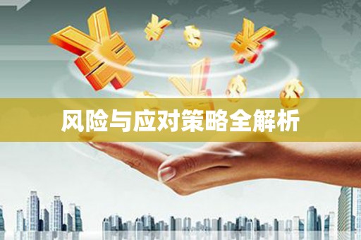 龟山风险与应对策略全解析