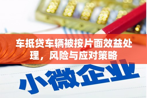 红河县车抵贷车辆被按片面效益处理，风险与应对策略