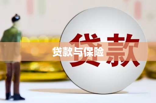 瀍河贷款与保险