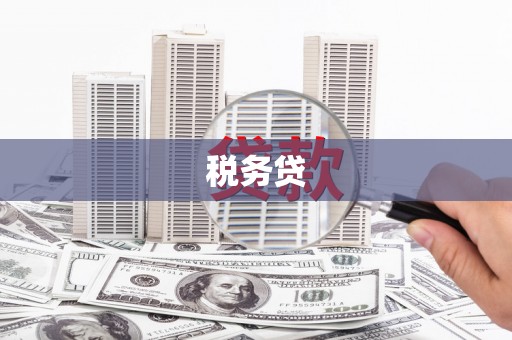 叶县税务贷