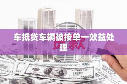 天山车抵贷车辆被按单一效益处理