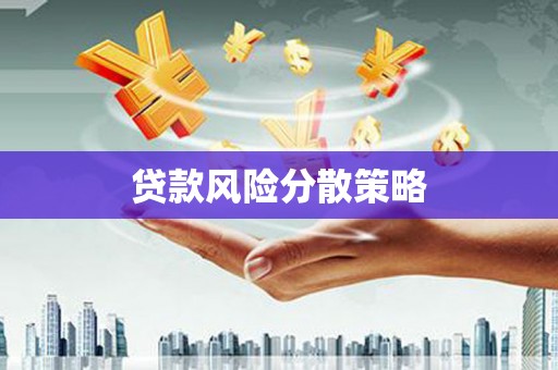 美兰贷款风险分散策略