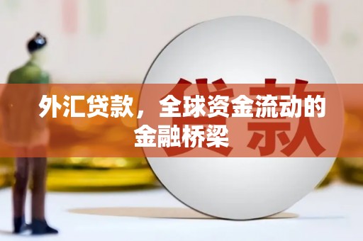 美兰外汇贷款，全球资金流动的金融桥梁