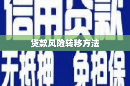 美兰贷款风险转移方法